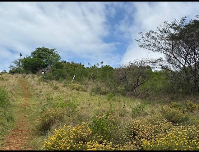 LAND FOR SALE IN ZINI RIVER ESTATE